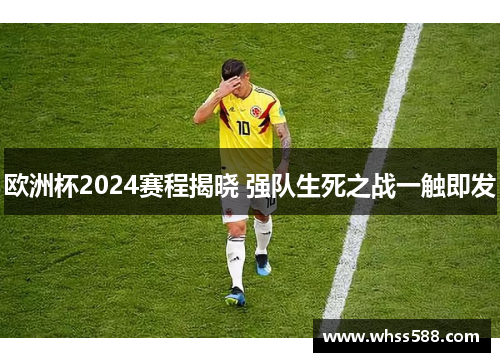 欧洲杯2024赛程揭晓 强队生死之战一触即发